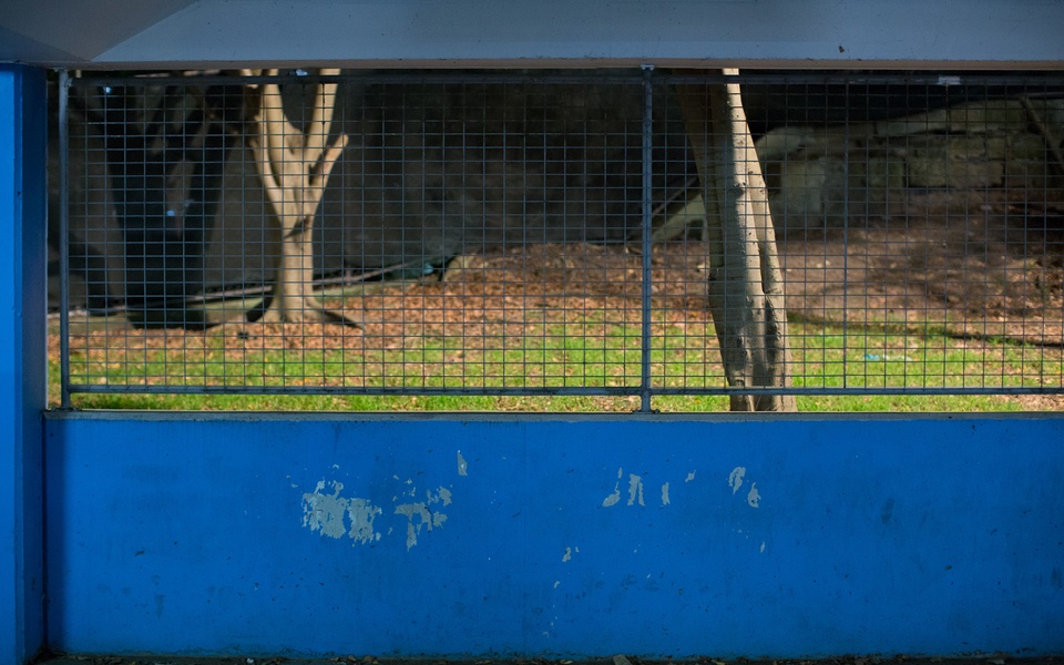 Mike Hewson: (Installation View) - Level 2, 2/9A Elizabeth Bay Rd, Sydney