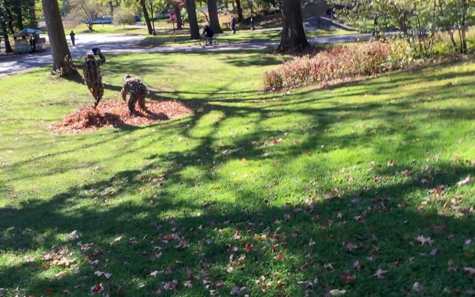 Mike Hewson: (Installation View) - Central Park, New York City