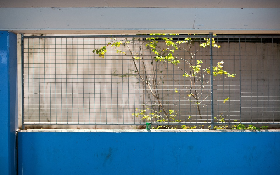 Mike Hewson: (Installation View) - Level 2, 2/9A Elizabeth Bay Rd, Sydney