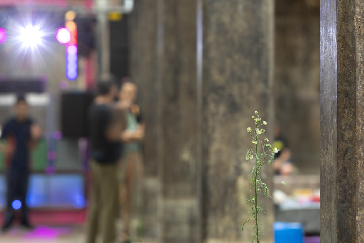 Mike Hewson: The Key's Under The Mat - 