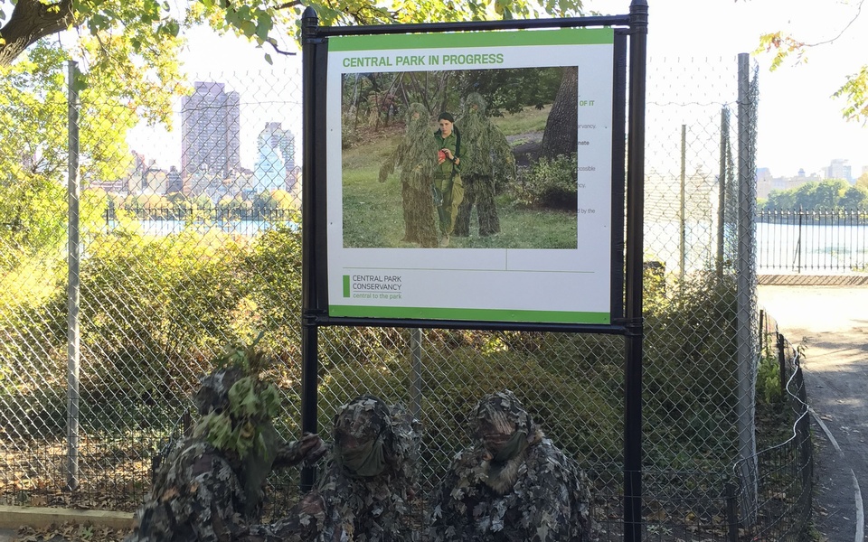 Mike Hewson: Central Park In Progress - Central Park, New York City
