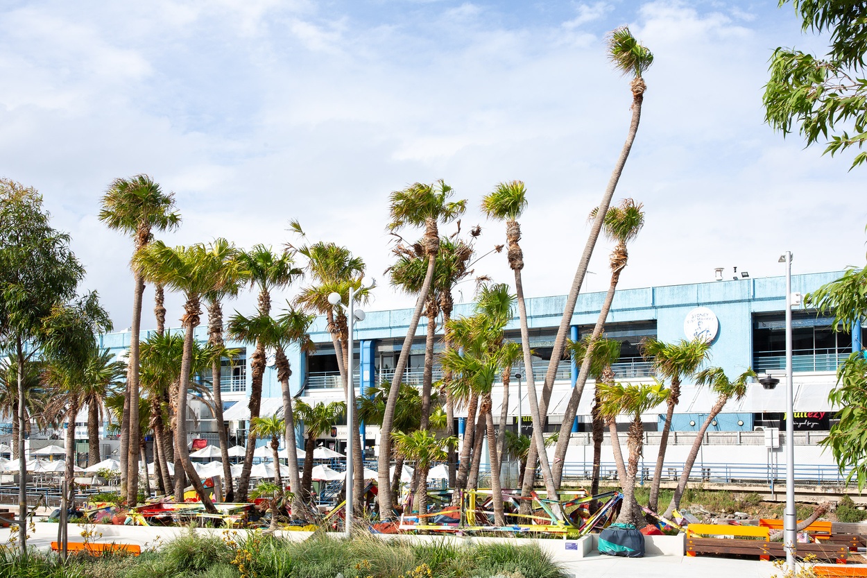 Mike Hewson: Coal Loader Palm Grove - 